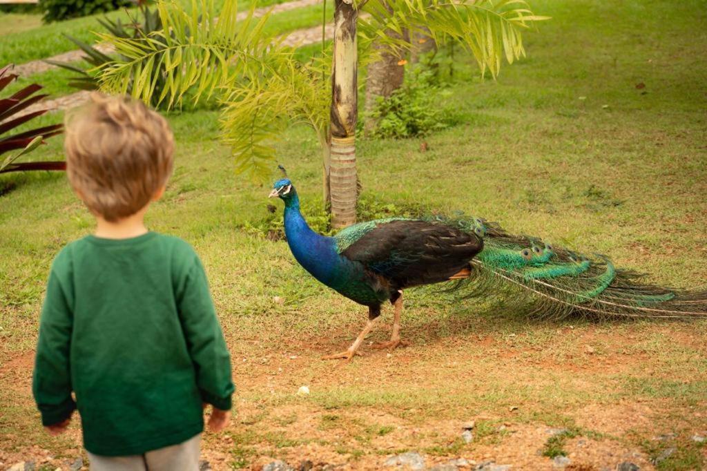 Pousada Campestre Vila Tiradentes Exteriér fotografie